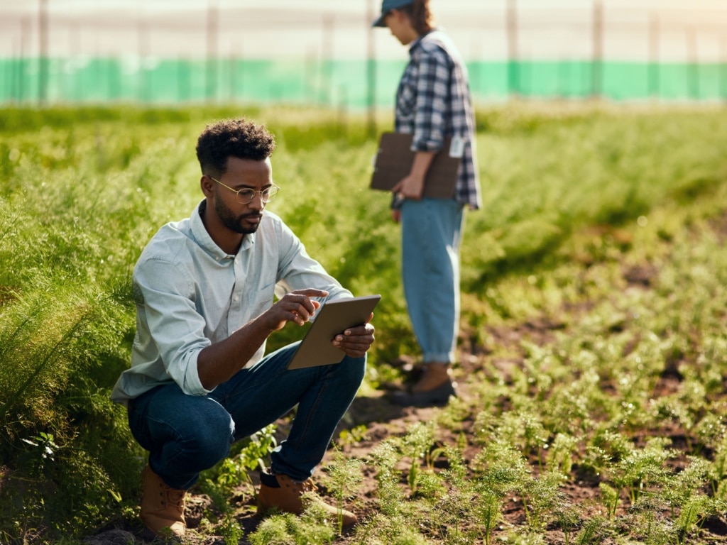 AFRICA: UNDP call for projects to provide green financing for 25 fintechs©PeopleImages.com - Yuri A/Shutterstock