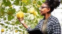 Entrepreneuriat agricole : la BAD approuve 43 M$ pour soutenir les PME éthiopiennes ©Manop Boonpeng/Shutterstock