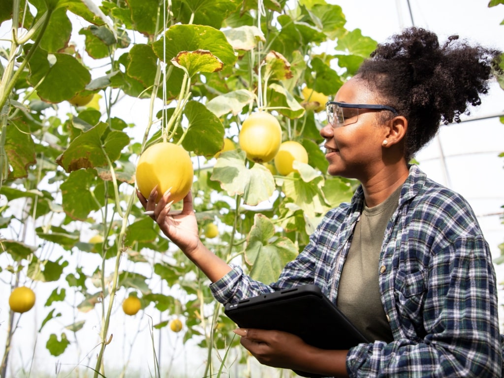 Entrepreneuriat agricole : la BAD approuve 43 M$ pour soutenir les PME éthiopiennes ©Manop Boonpeng/Shutterstock