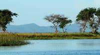 La BAD obtient 18 M$ du FEM pour le fleuve Zambèze et les déchets électroniques ©Autorité du fleuve Zambèze
