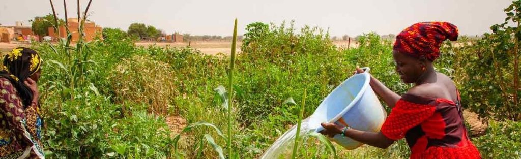 17 million from the AfDB will change everything for rural women farmers in Mauritania ©AfDB