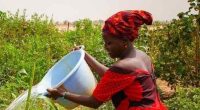 17 million from the AfDB will change everything for rural women farmers in Mauritania ©AfDB