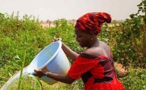 17 million from the AfDB will change everything for rural women farmers in Mauritania ©AfDB