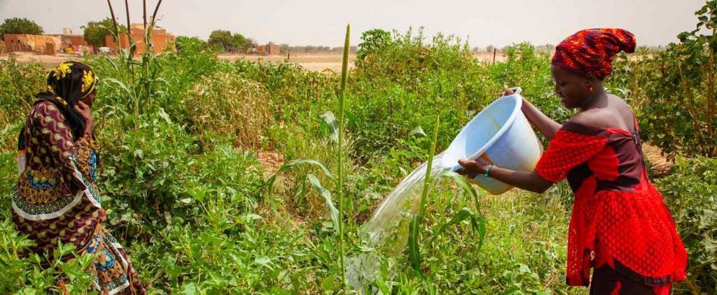 Ces 17 M$ de la BAD qui vont tout changer pour les agricultrices rurales en Mauritanie ©BAD