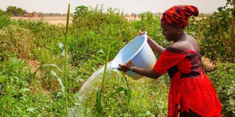 Ces 17 M$ de la BAD qui vont tout changer pour les agricultrices rurales en Mauritanie ©BAD