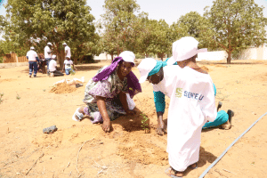 Electrochlorination, solar, biodiversity... SEN'EAU's green revolution in Senegal