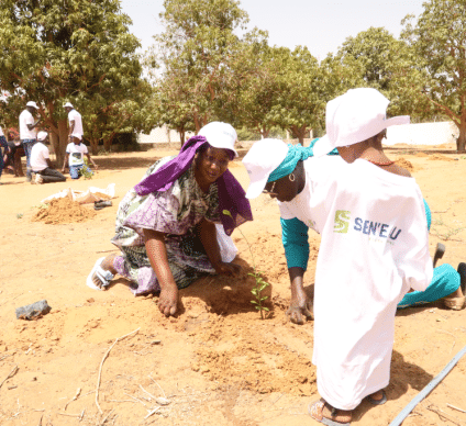 Electrochlorination, solar, biodiversity... SEN'EAU's green revolution in Senegal