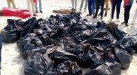 CONGO : débarrassée des déchets, la plage de Pointe-Noire retrouve son attractivité © Carrel Stephen Vouidibio/Shutterstock