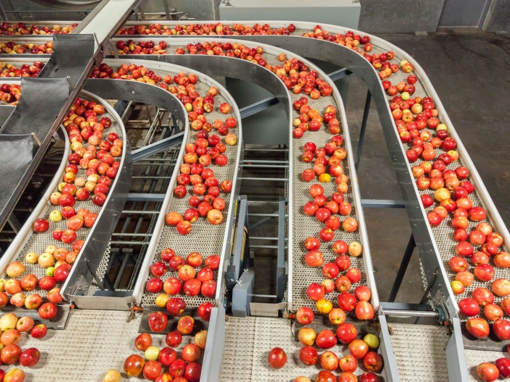 AFRICA: in 2024, Agroecological Food Prize will be awarded to three food innovations©Paula Cobleigh/Shutterstock