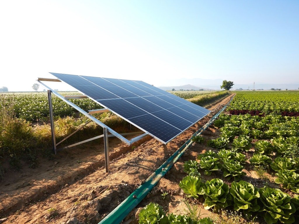 AgVenture 2024 : cette année, la Berd financera six solutions agricoles durables©Red Stock/Shutterstock