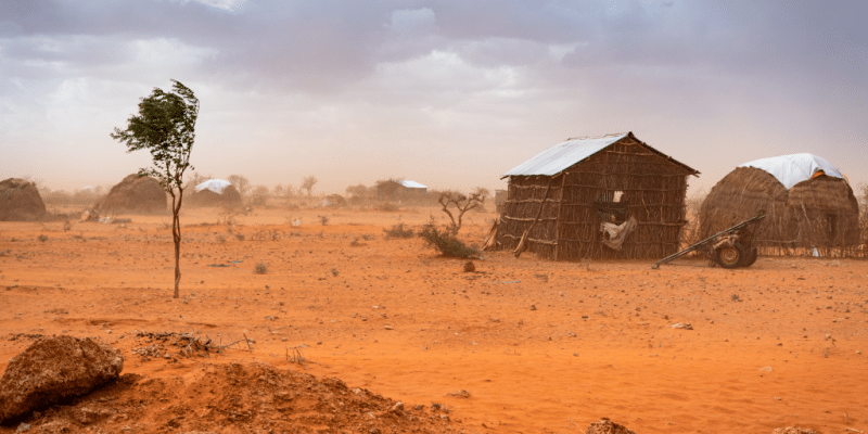 Drought: who will cash the CVF's cheque for $150 for the Horn of Africa? © Stanley Dullea/Shutterstock