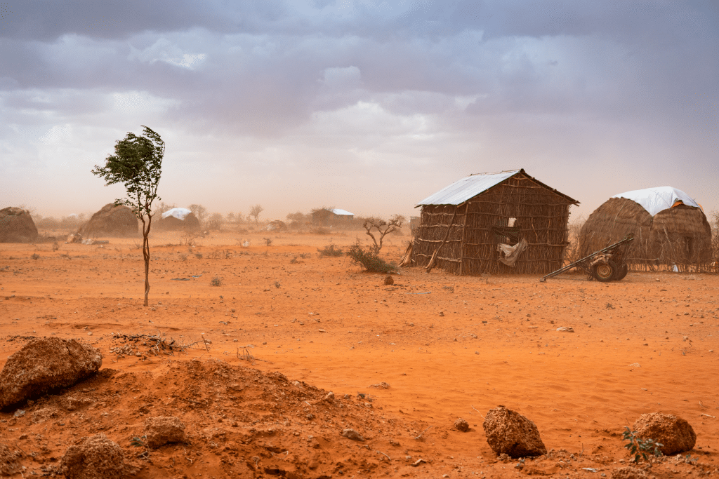 Drought: who will cash the CVF's cheque for $150 for the Horn of Africa? © Stanley Dullea/Shutterstock