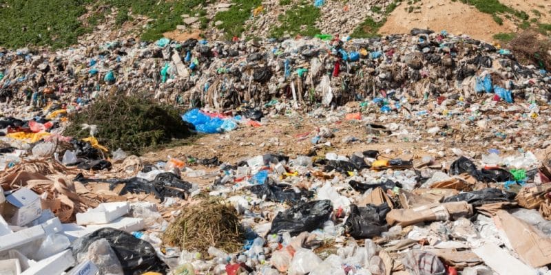 ALGERIA: The MyGeocycle platform is launched to digitise waste management ©blackboard1965/Shutterstock