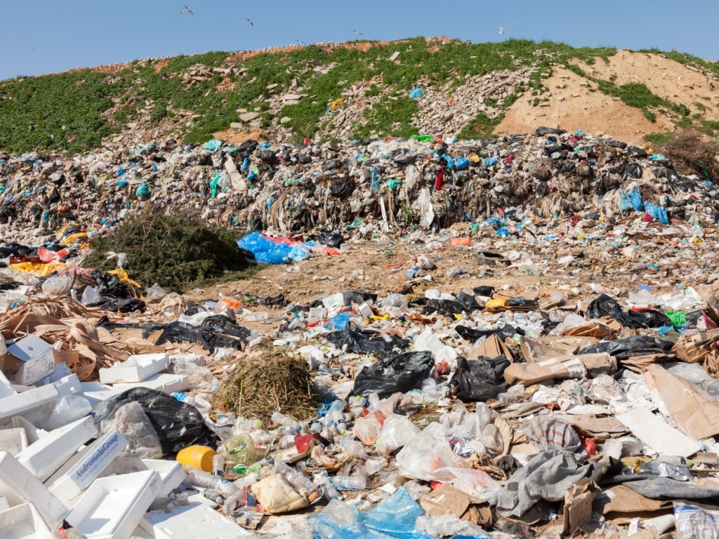 ALGERIA: The MyGeocycle platform is launched to digitise waste management ©blackboard1965/Shutterstock