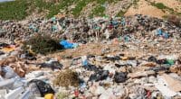 ALGÉRIE : La plateforme MyGeocycle est lancée pour numériser la gestion des déchets ©blackboard1965/Shutterstock