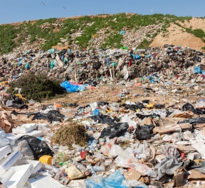 ALGÉRIE : La plateforme MyGeocycle est lancée pour numériser la gestion des déchets ©blackboard1965/Shutterstock